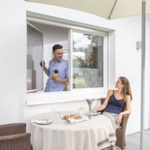 Dieses Bild Zeigt die Insektenschutzvariante Pendelfenster