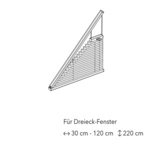 Dieses Bild zeigt alle möglichen Plissee Sonderformen wie Dreieck Kreis oder Trapetsfenster
